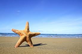 SM - Beach Day - students, beach, summer,...